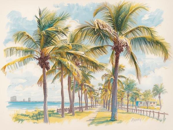 Venice florida views