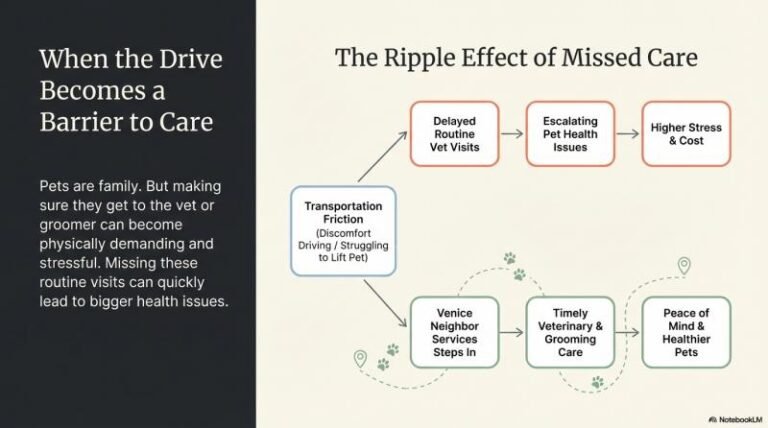 b-Coastal Pet Transport 2
