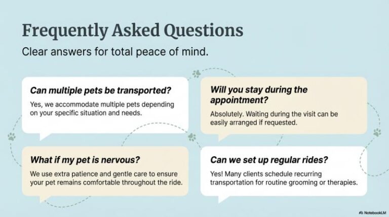 b-Coastal Pet Transport 7